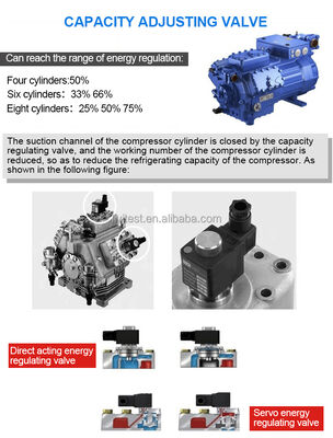 Wytwarzanie dużej pojemności środowiskowego spaceru w komorze klimatycznej z kontrolą wilgotności pomieszczenia badawczego temperatury