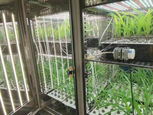 Cena LIYI 2-stronnej i 3-stronnej komory inkubacyjnej do testowania klimatu sztucznego środowiskowego z oświetleniem do sprzedaży